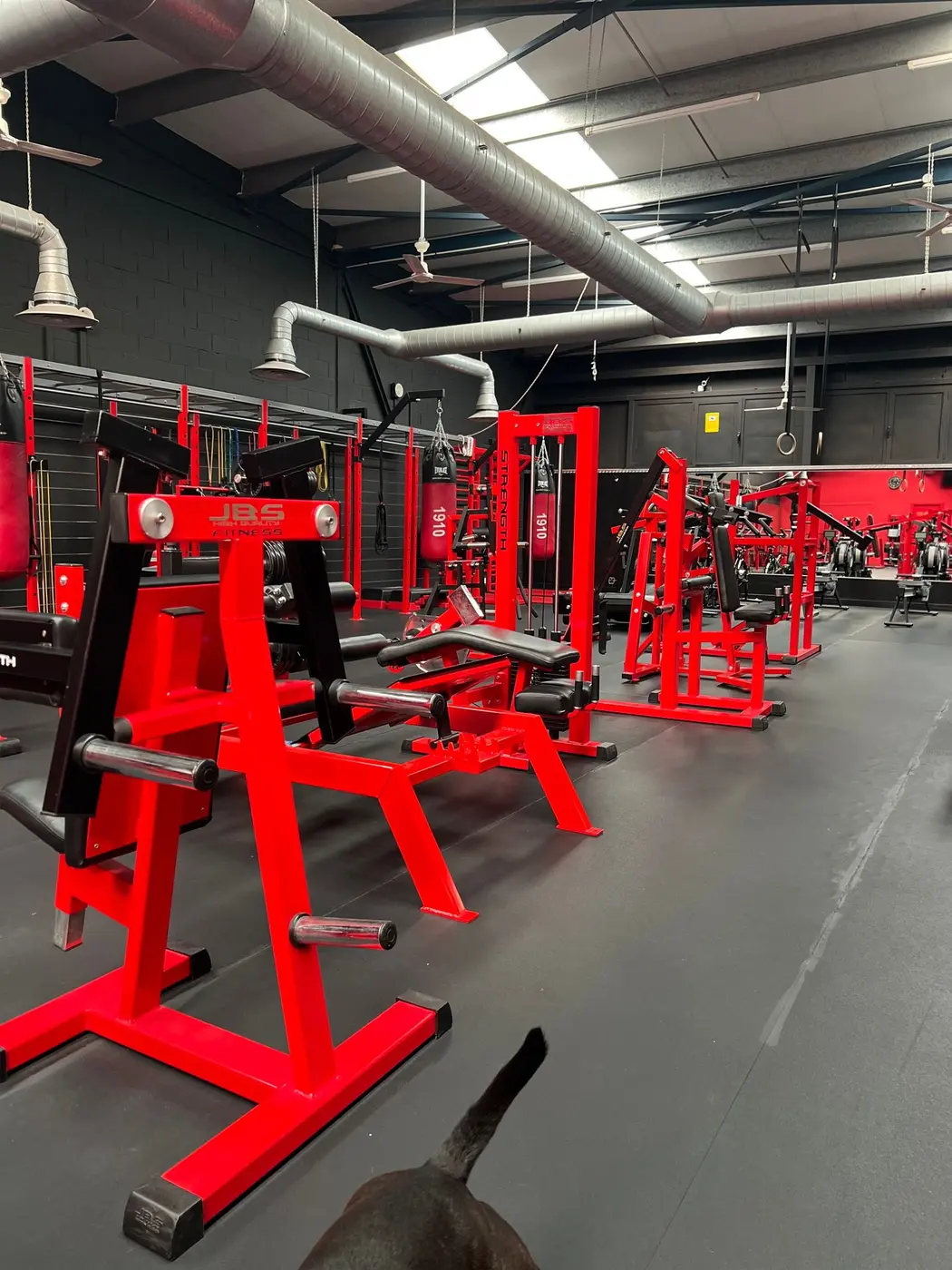 Sala de entrenamiento de fuerza de PRO STRENGTH Irún